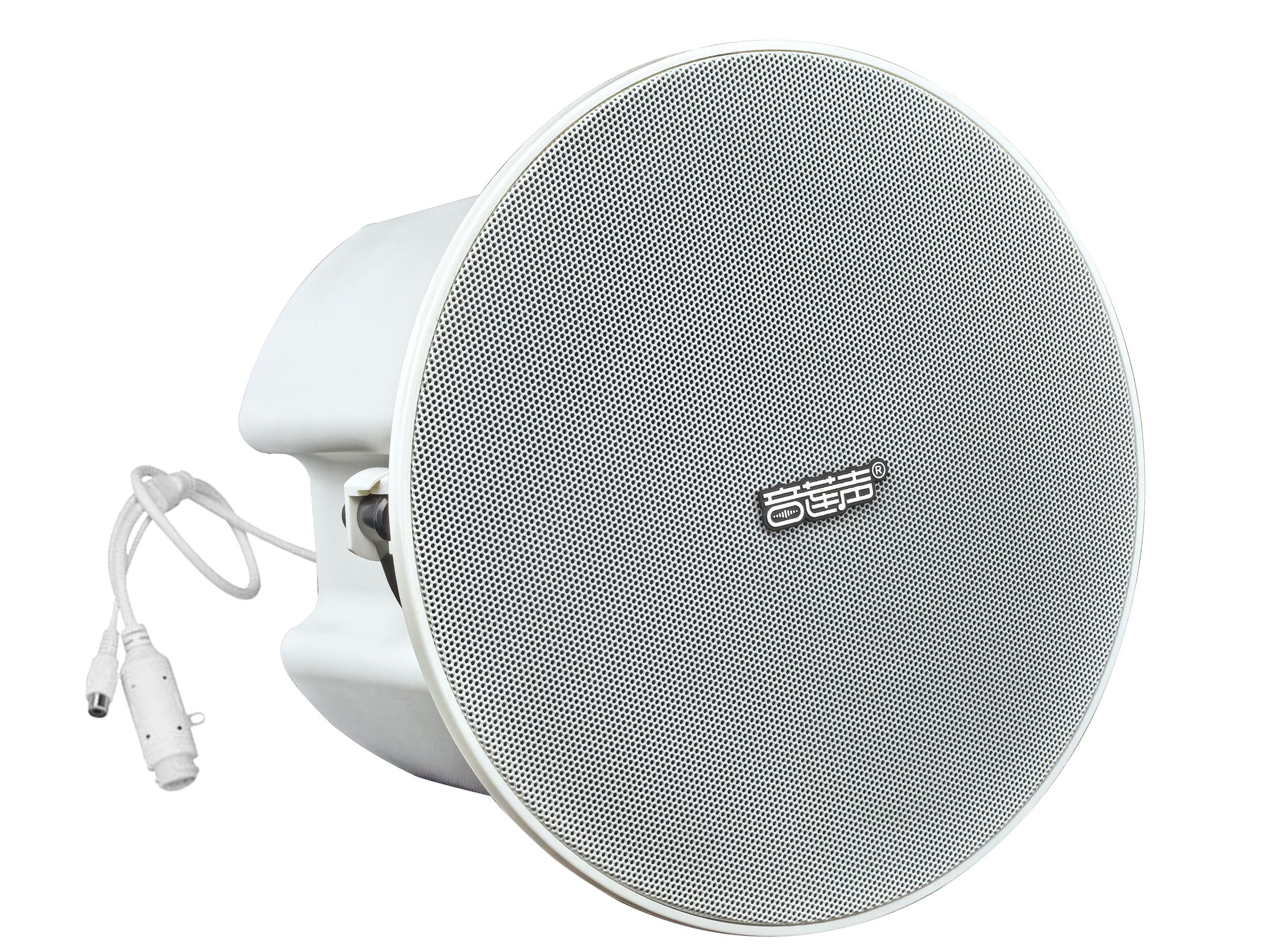 IP网络吸顶音响